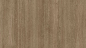 5 Piece Shaker in Fashionista