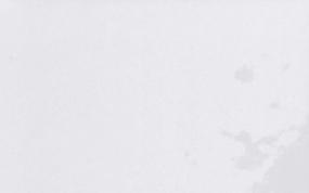 Eternal Classic Calacatta