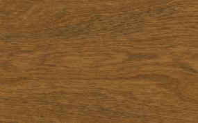 Stain Portabella on Cherry